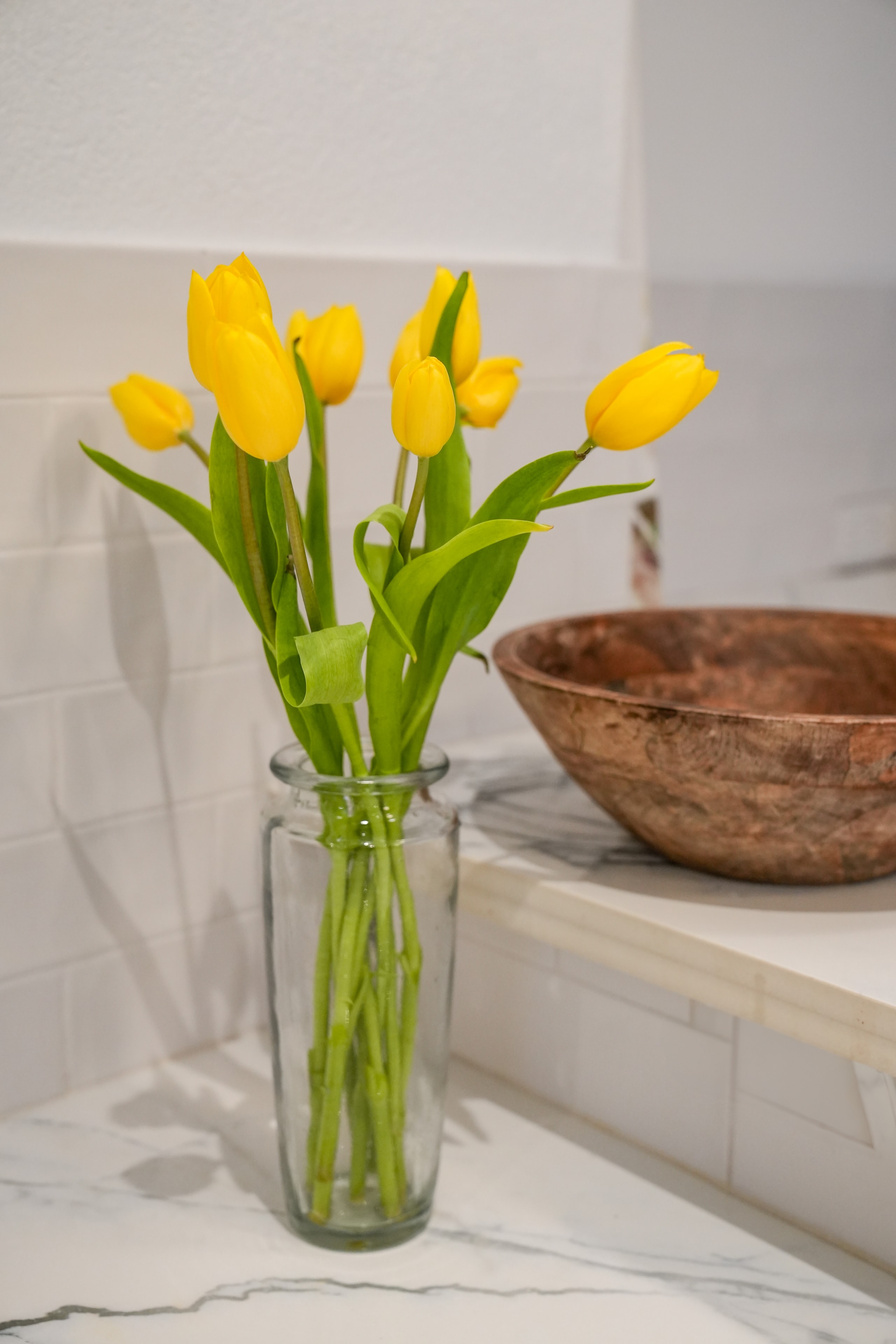 Sunshine Tulips